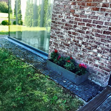 Green House *